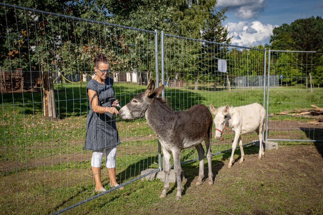 Penzion Statek Bernard Královské Poříčí Exteriör bild